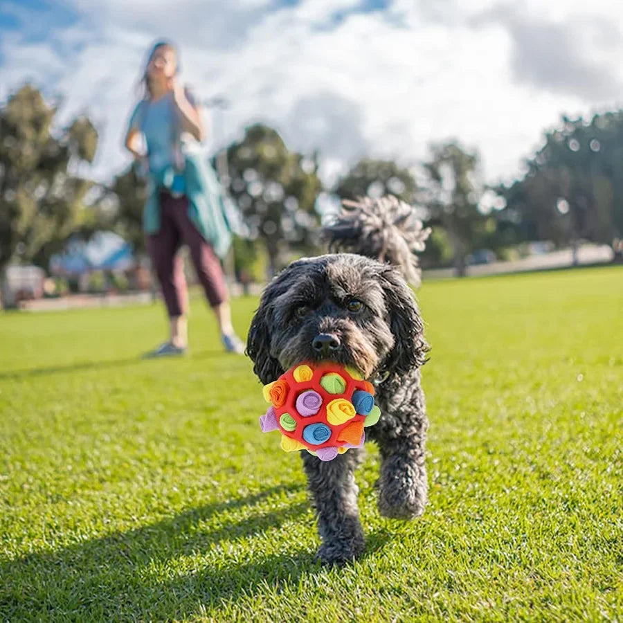  Snuffle Ball - Interactive Enrichment Dog Toy!